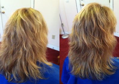Damaged Hair Before & After